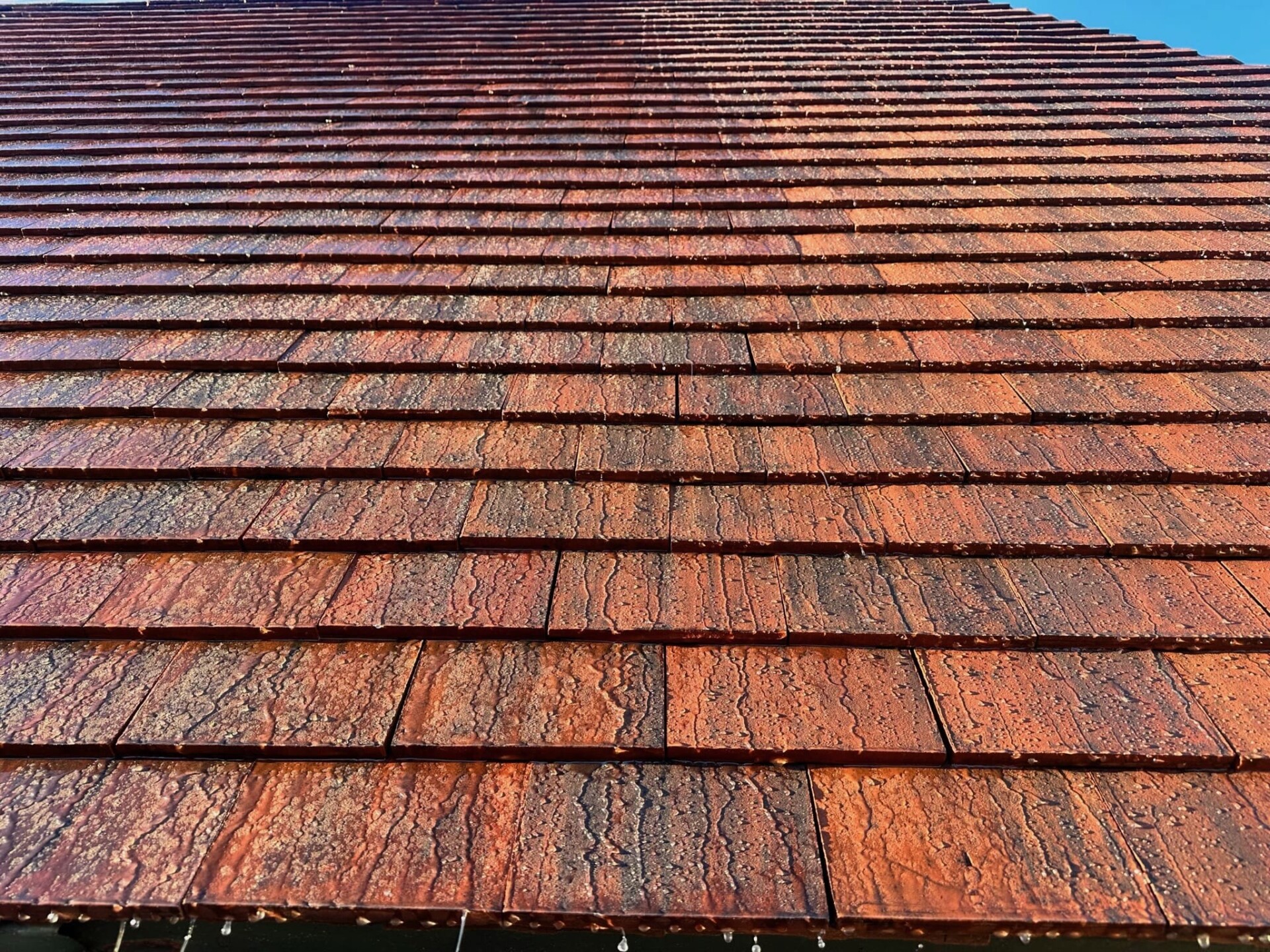 IMG 5669 Min IMG 5669 Min